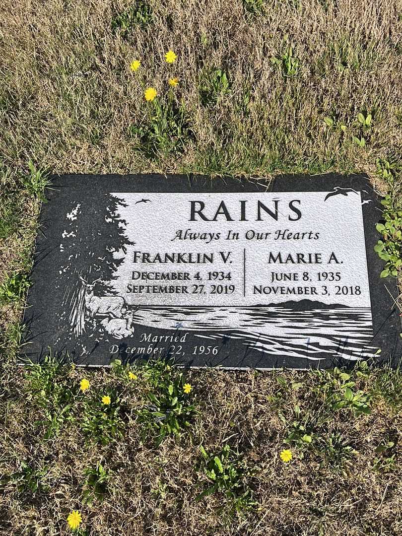 Franklin V. Rains's grave. Photo 1