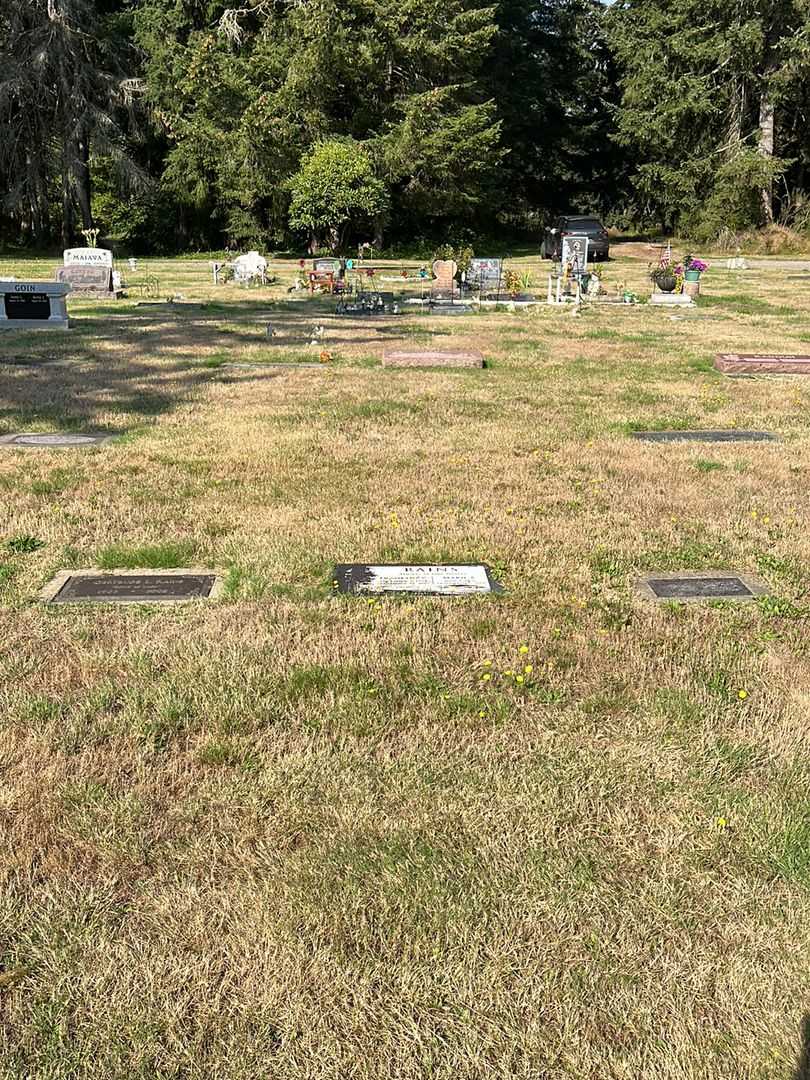 Franklin V. Rains's grave. Photo 2