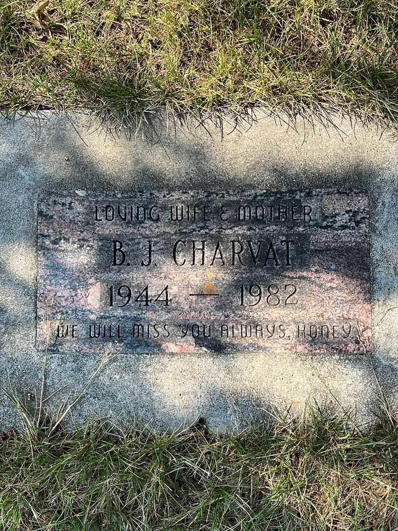 Terrence "Terry" Pagel's grave. Photo 6