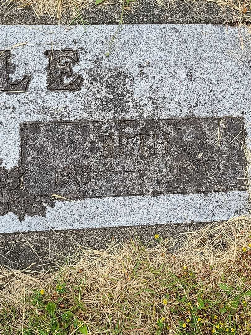 Elmer Thomas "Jim" Ingle's grave. Photo 4