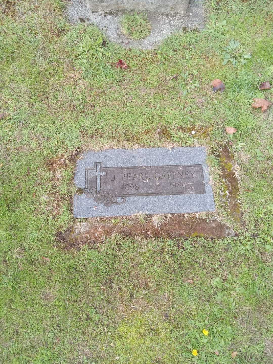 John Thomas Gaffney's grave. Photo 4