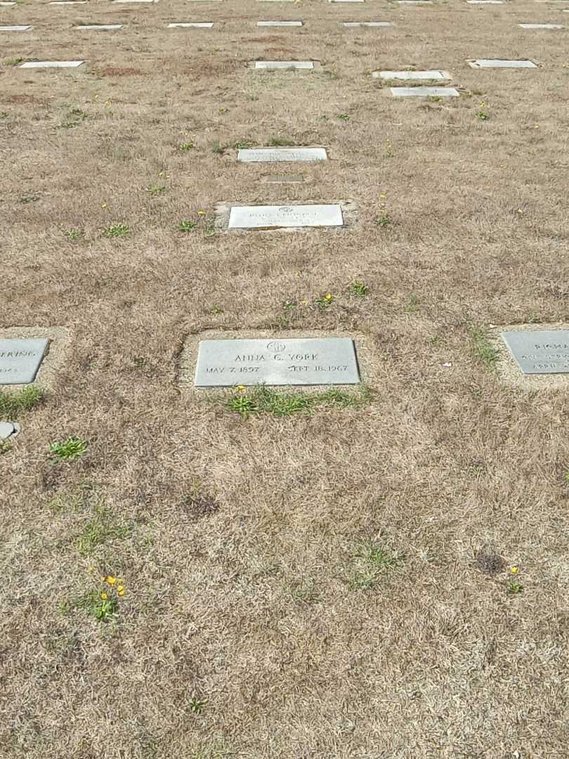 Anna Christine York's grave. Photo 2