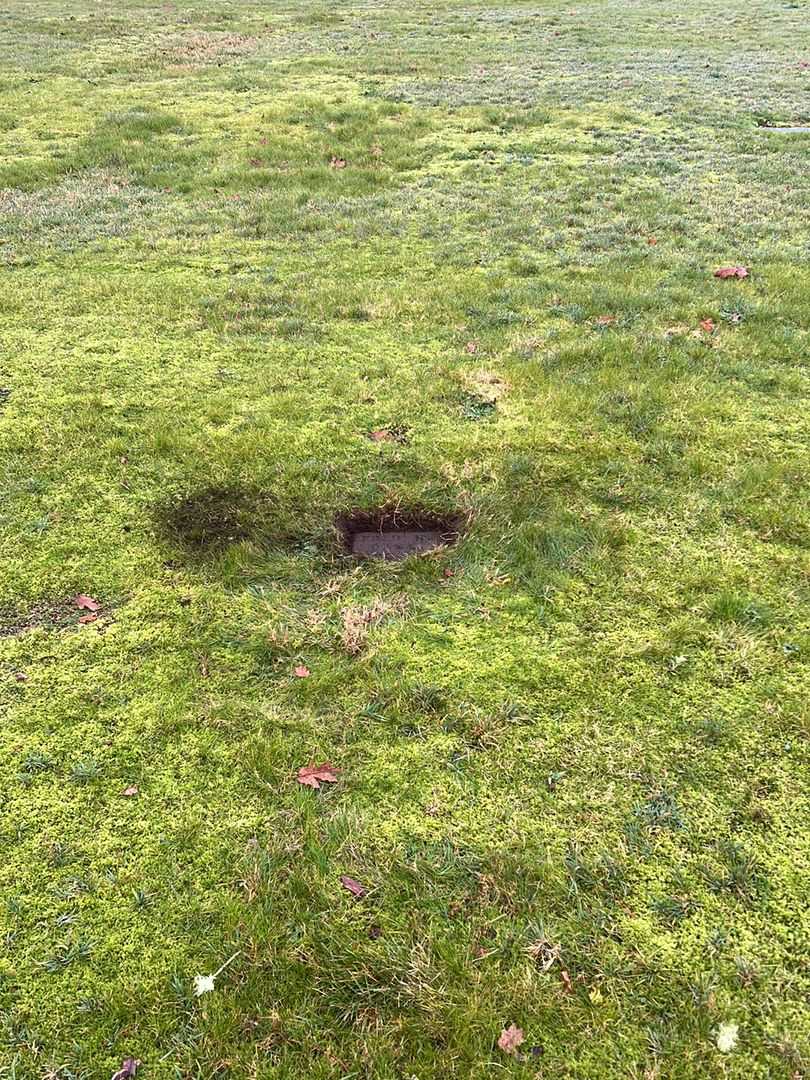 Jesse Gallagher's grave. Photo 2