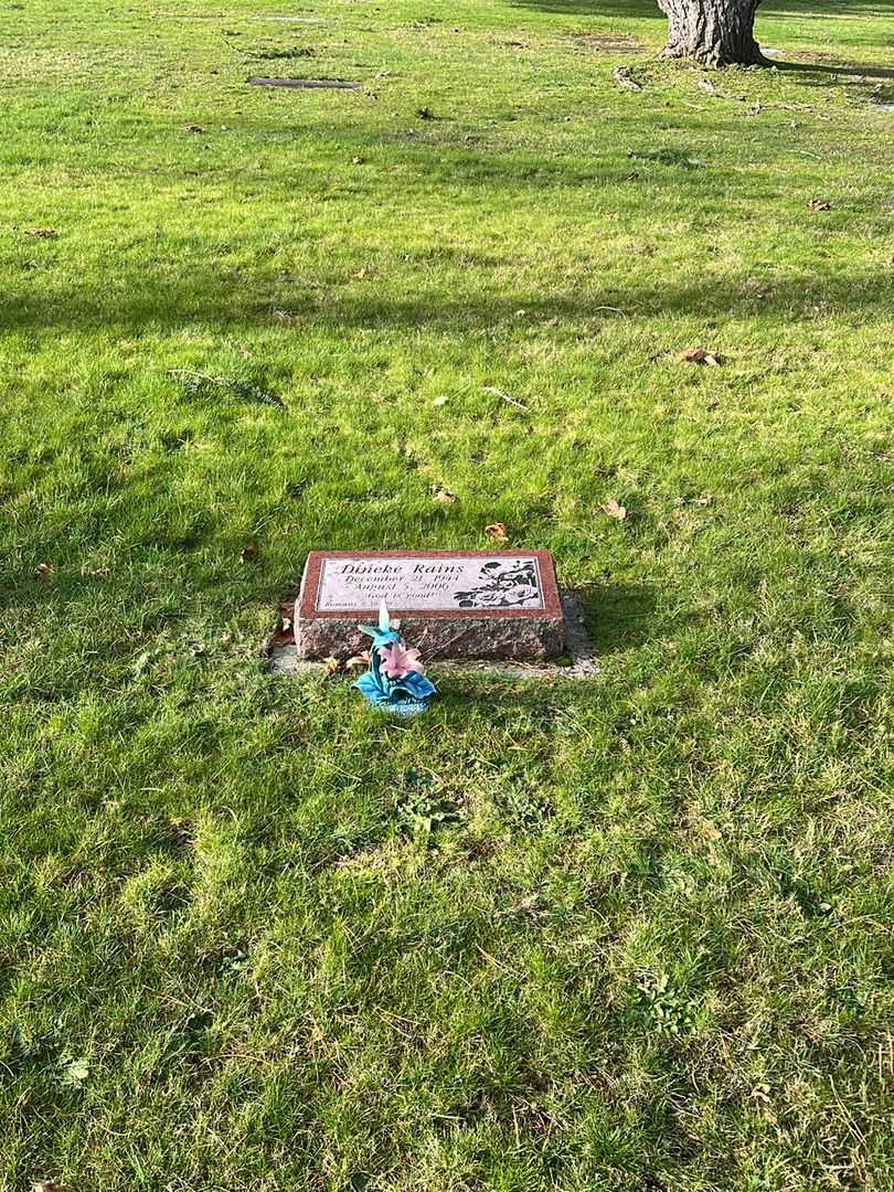 Dineke "Dina" Rains's grave. Photo 2
