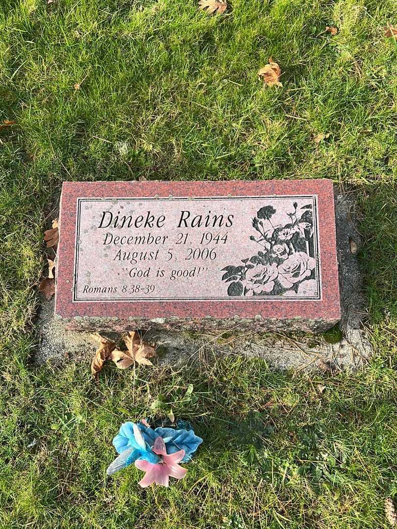 Dineke "Dina" Rains's grave. Photo 1