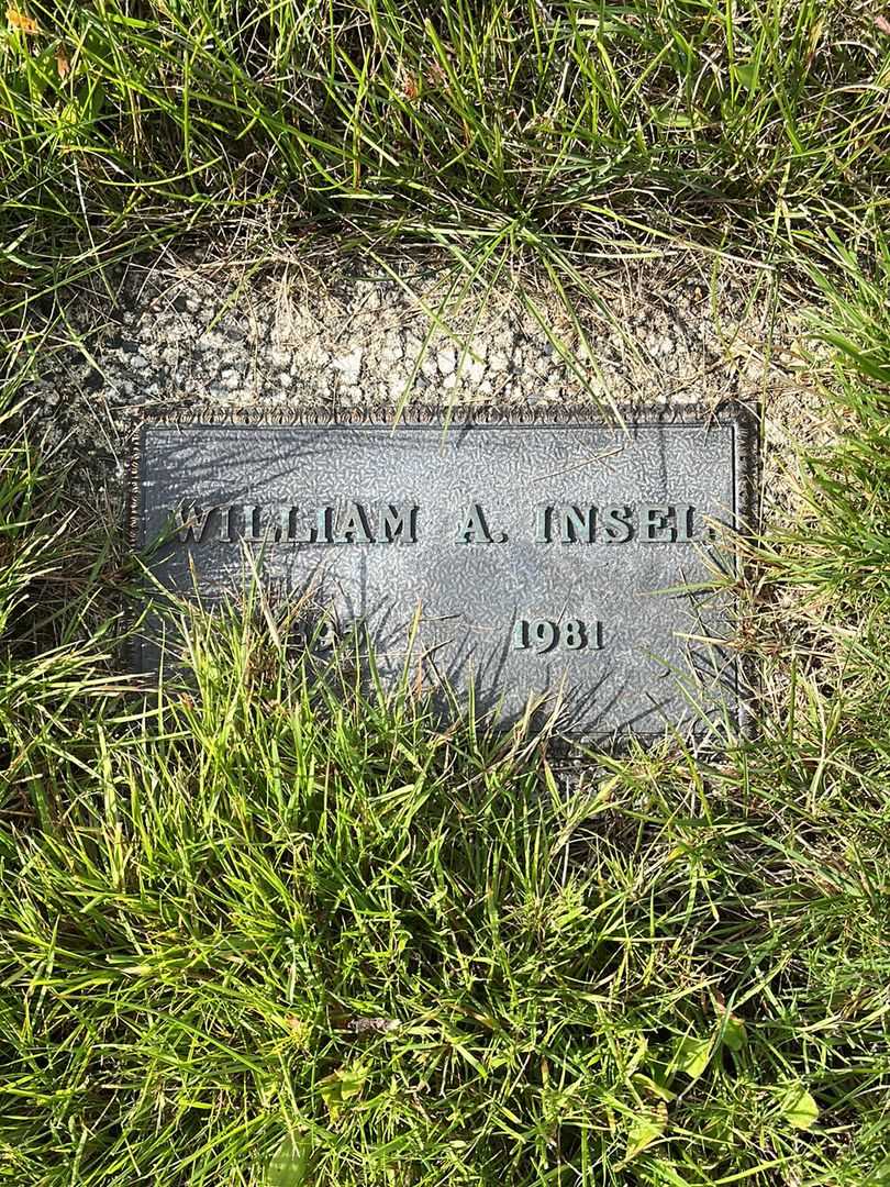 Albert W. Insel's grave. Photo 5
