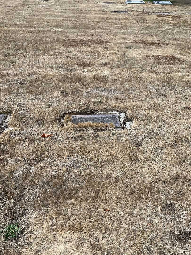 Francis William Bagley's grave. Photo 2