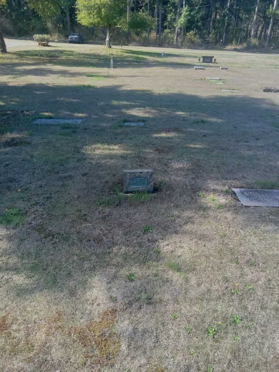 Alice Anneta Eads's grave. Photo 2