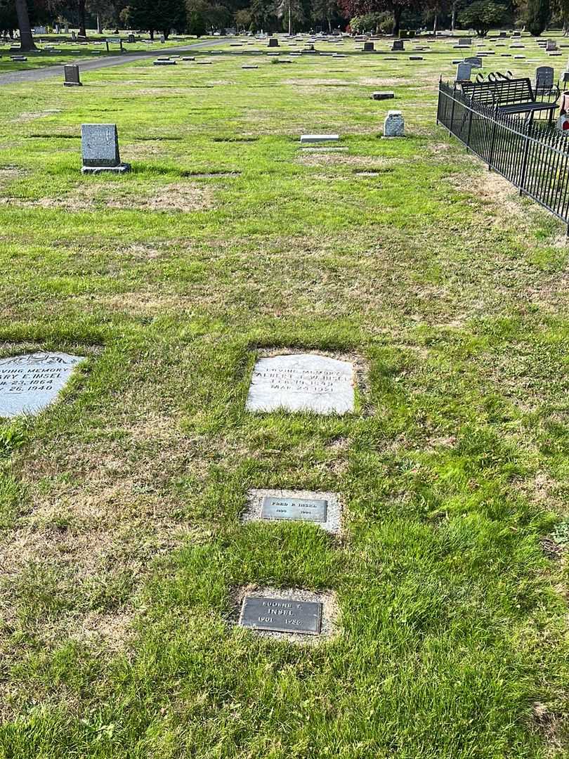Albert T. Insel's grave. Photo 2