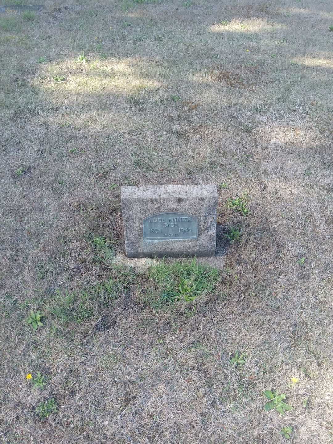 Alice Anneta Eads's grave. Photo 1