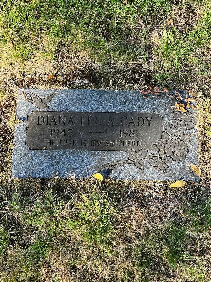 Diana Lee A. Cady's grave. Photo 1