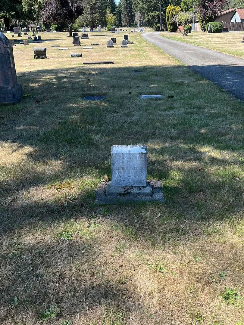 Harris Saeger's grave. Photo 2