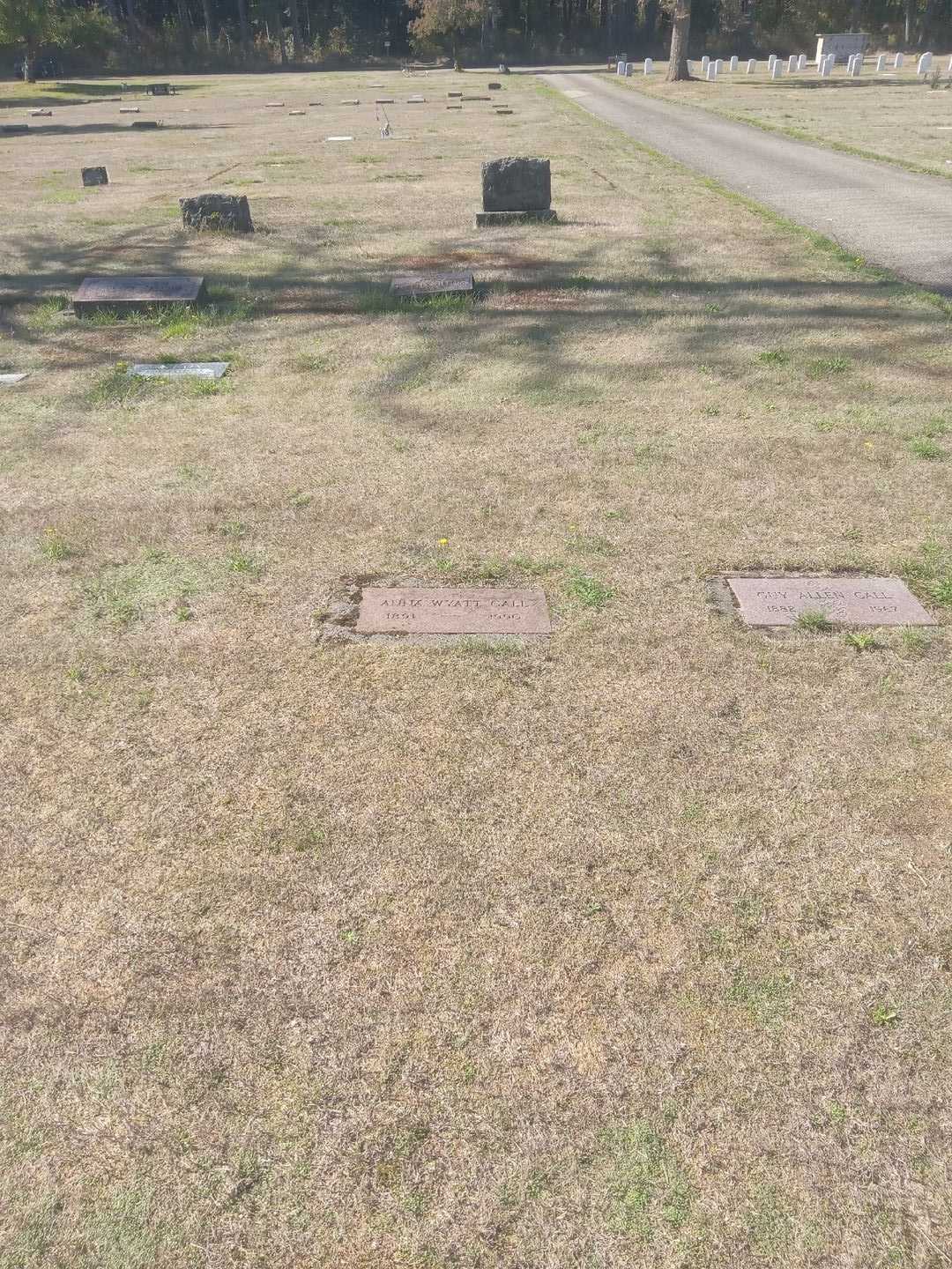 Anna Wyatt Call's grave. Photo 2