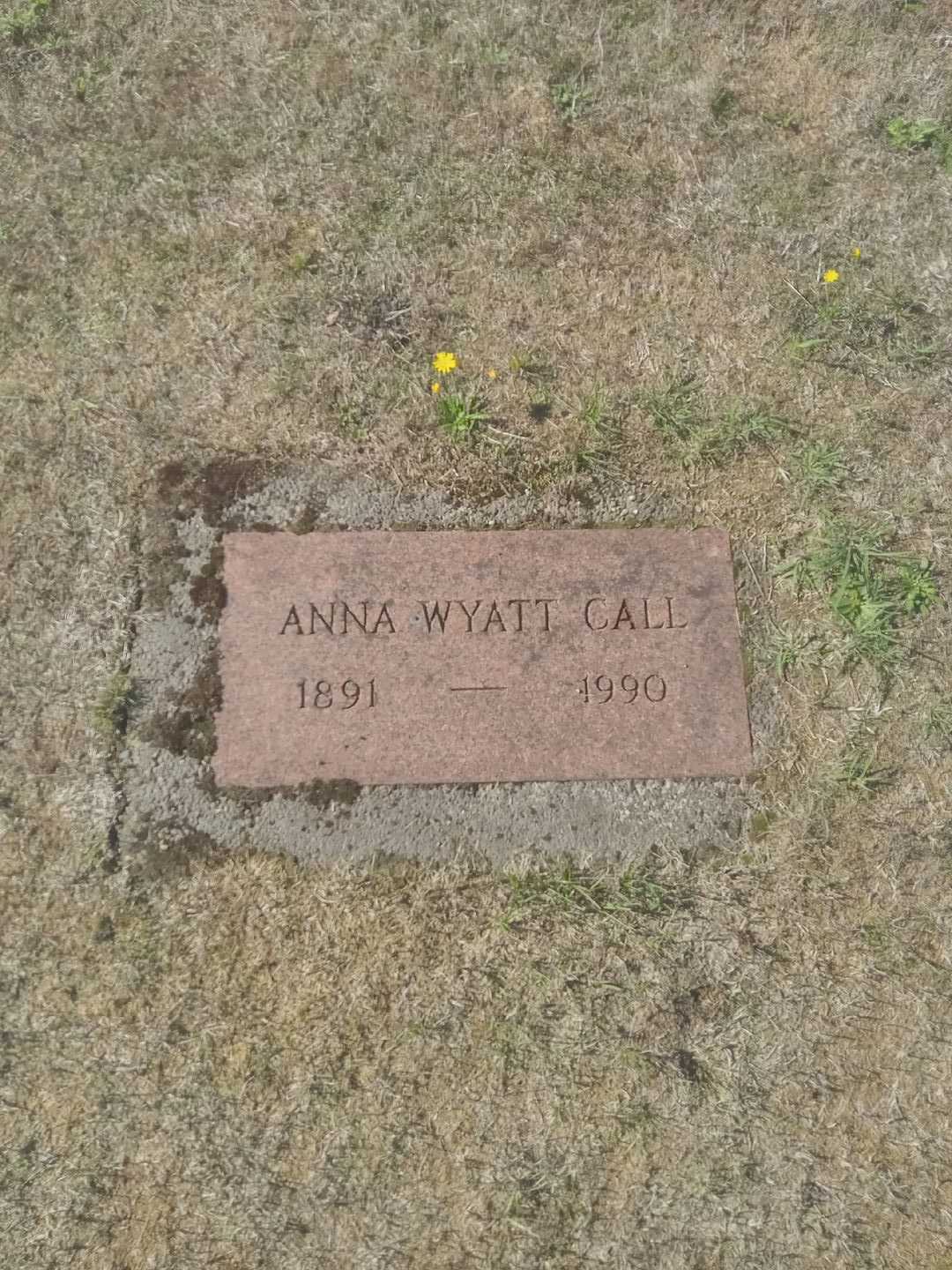 Anna Wyatt Call's grave. Photo 1
