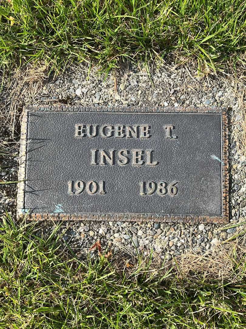 Albert T. Insel's grave. Photo 6