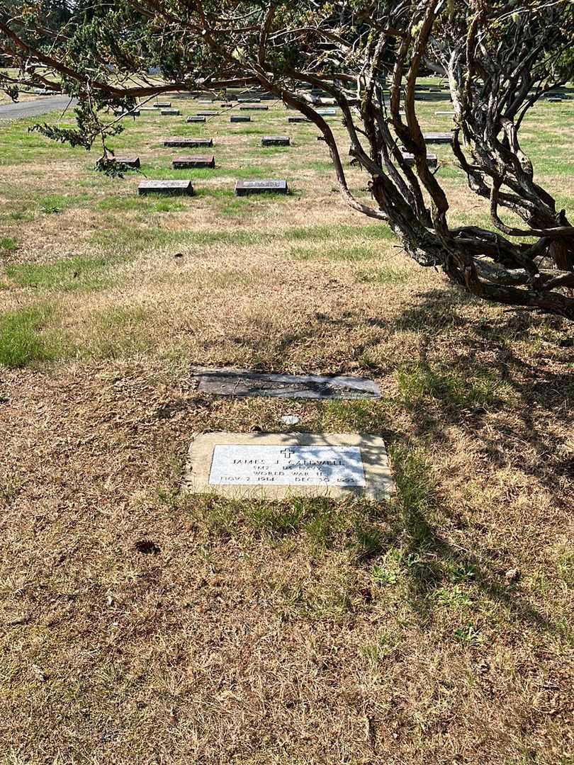 James J. Caldwell's grave. Photo 2