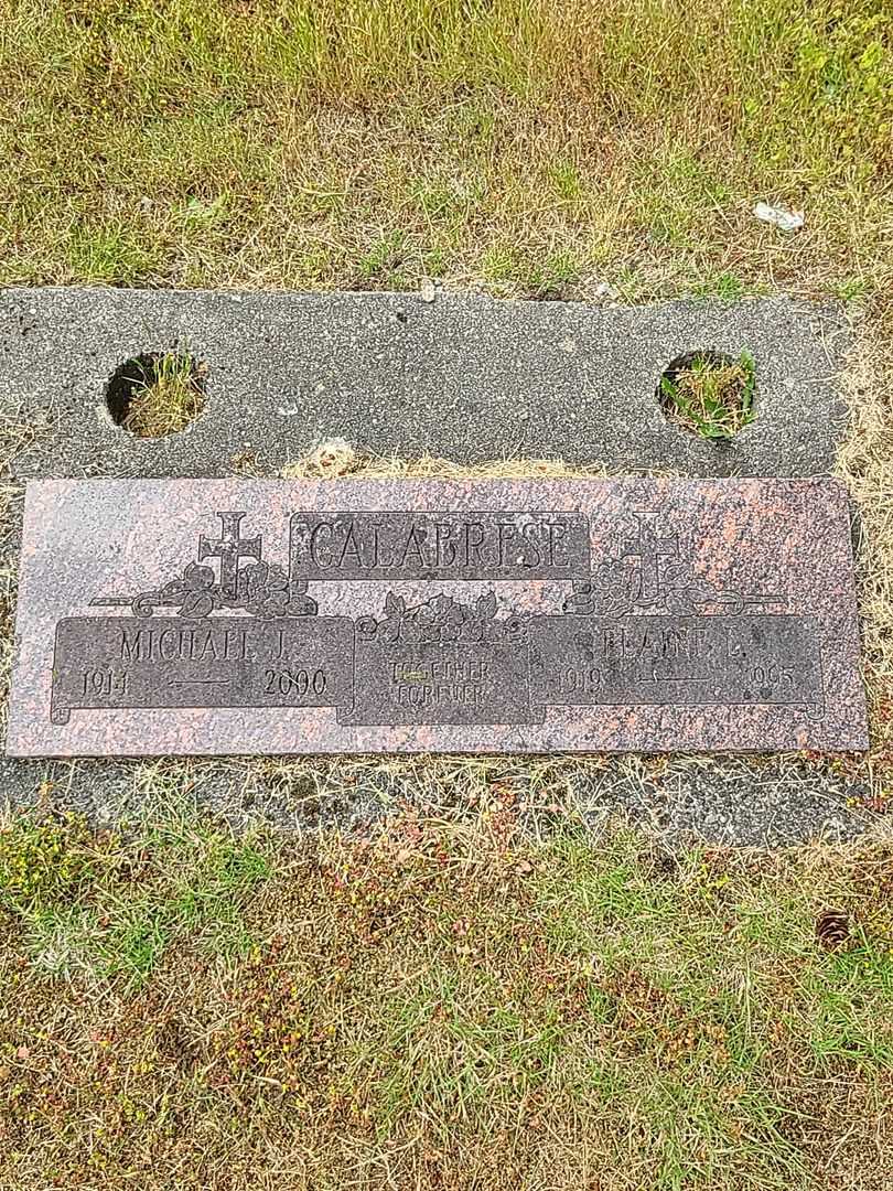 Michael James Calabrese's grave. Photo 1