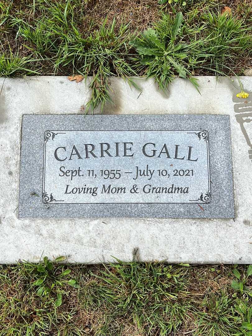Carrie Gall's grave. Photo 1