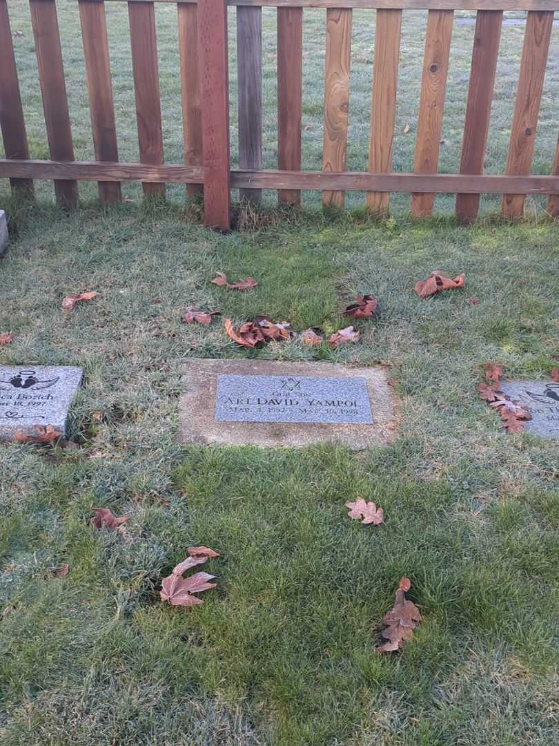 Ari David Yampol's grave. Photo 2