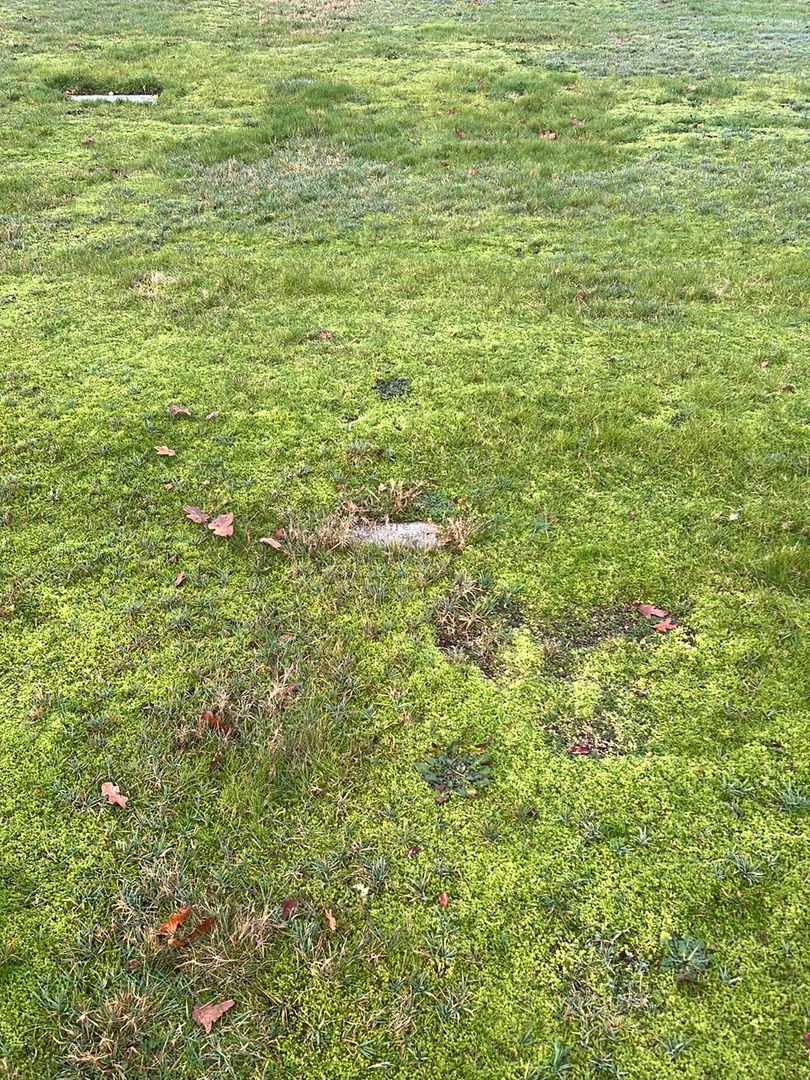 Jesse Gallagher's grave. Photo 3