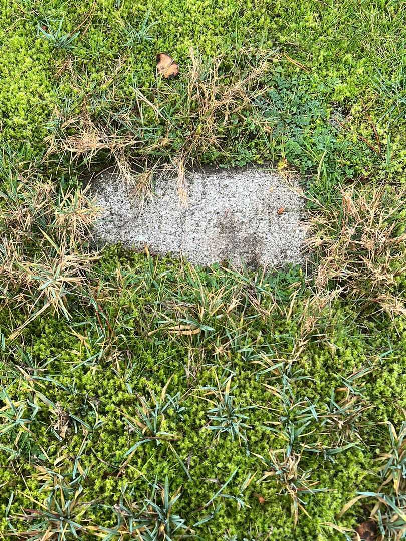 Jesse Gallagher's grave. Photo 4