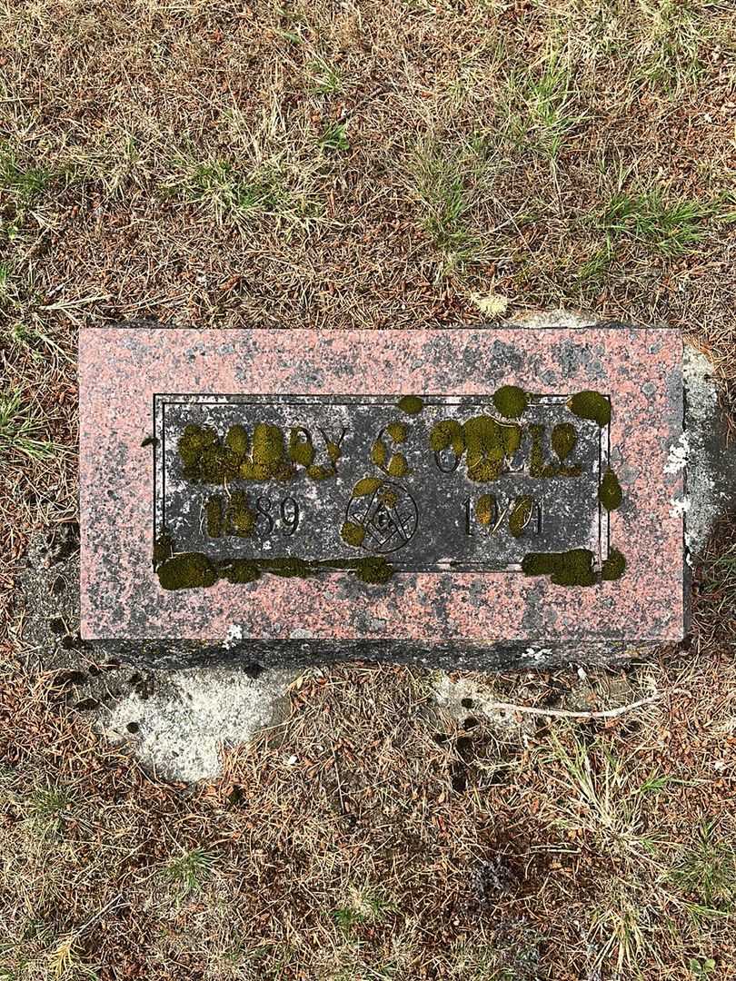 Harry George O'Dell's grave. Photo 1