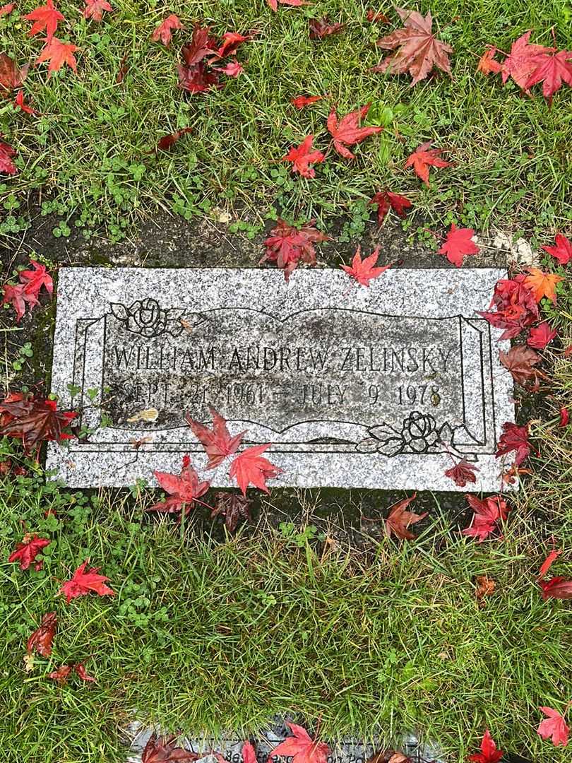 Alan Randall Zelinsky's grave. Photo 1