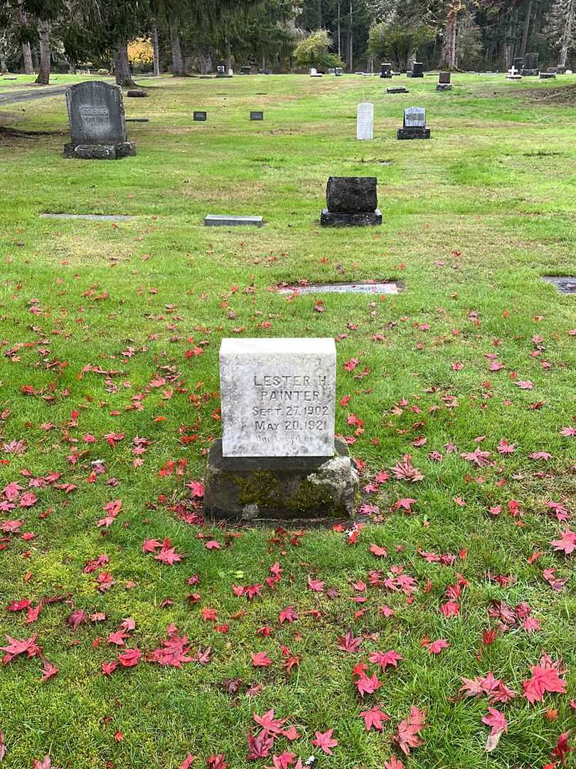 Lester H. Painter's grave. Photo 2