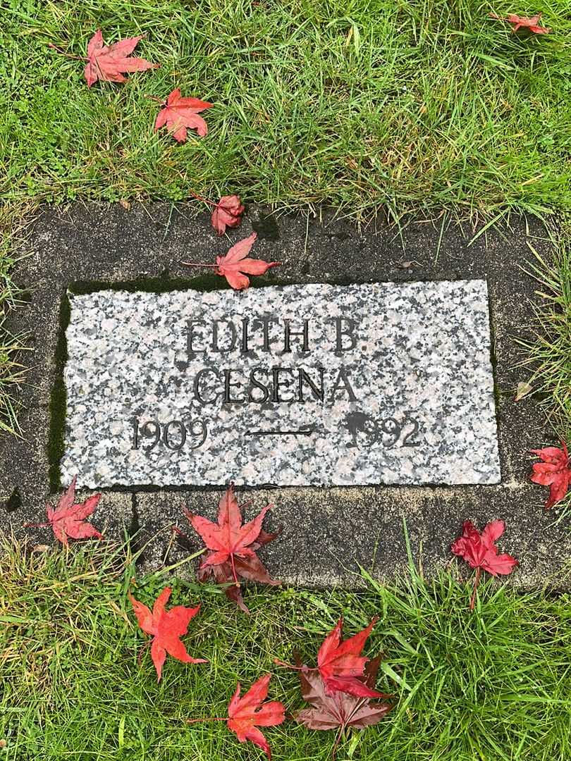 Martha C. Painter's grave. Photo 1
