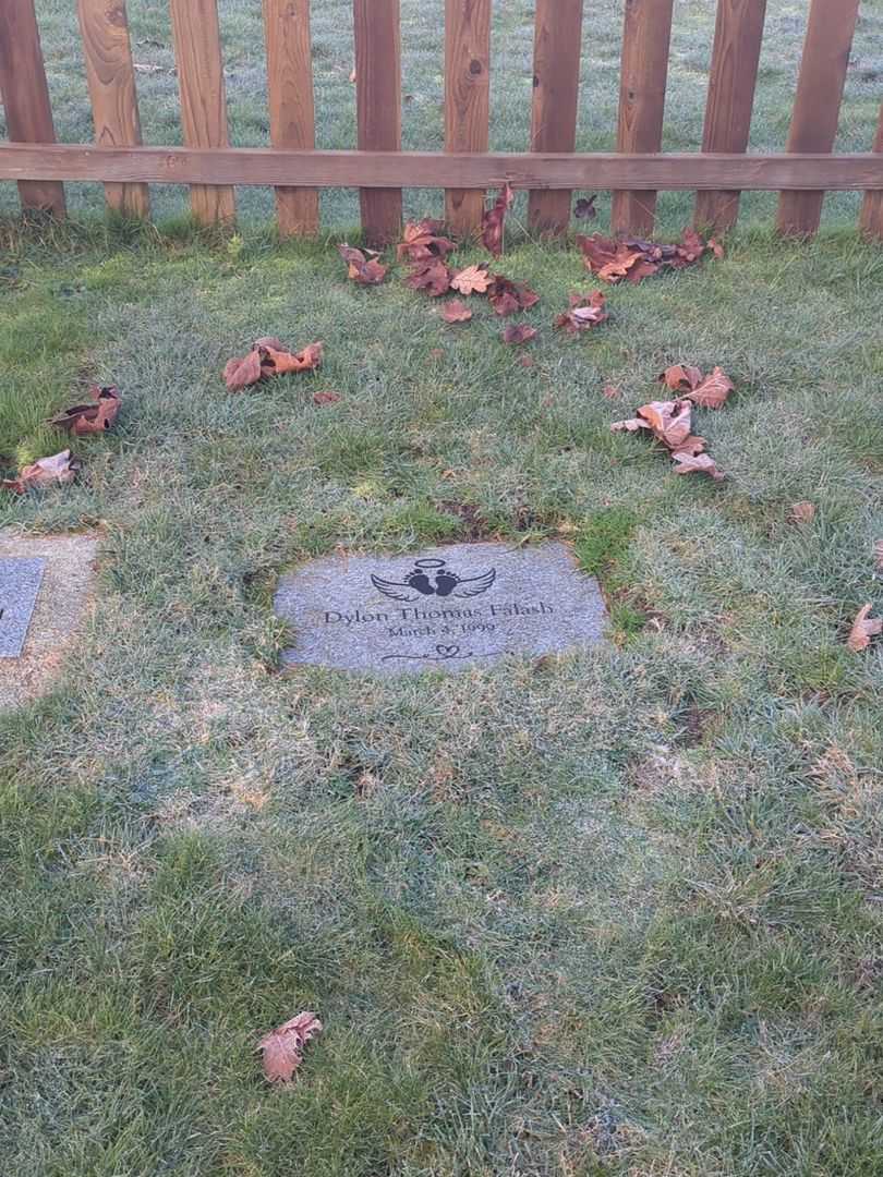 Dylon Thomas Falash's grave. Photo 2
