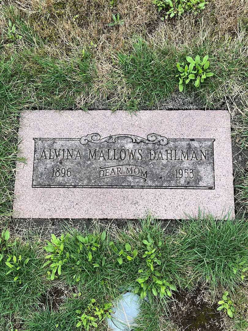 Alvina Mallows Dahlman's grave. Photo 1
