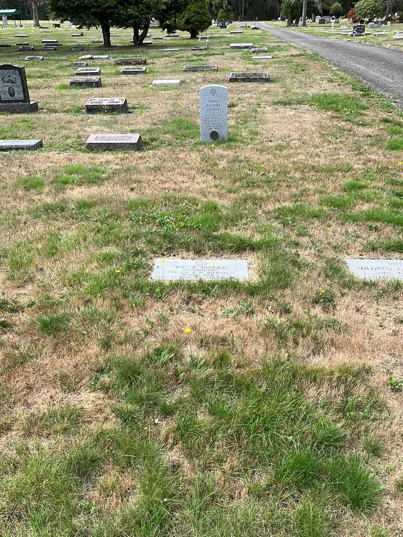Roy E. Tanner's grave. Photo 2