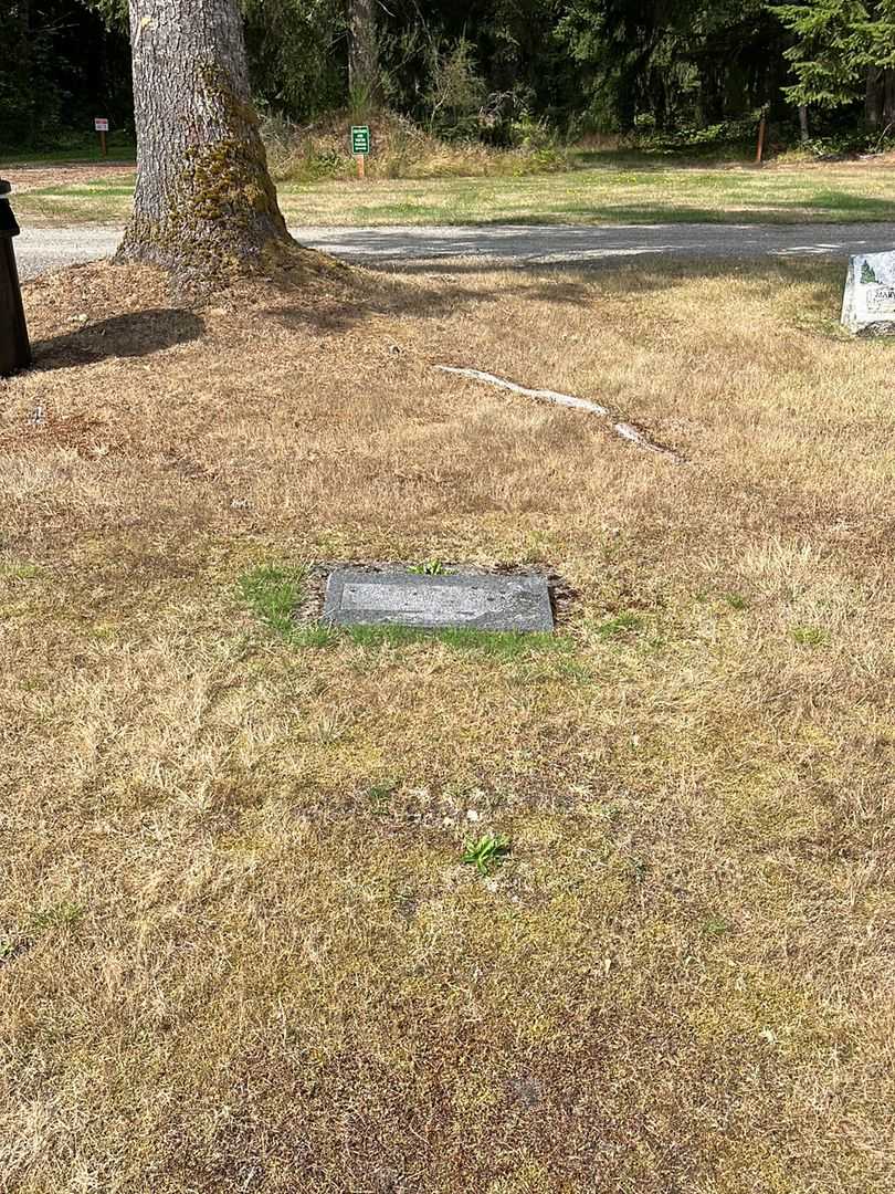 Scott James Saari's grave. Photo 2
