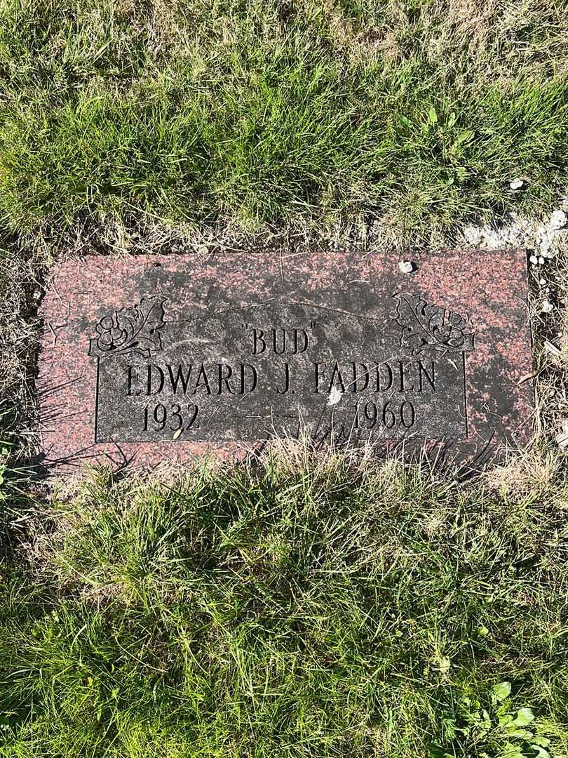 Edward James "Bud" Fadden's grave. Photo 1