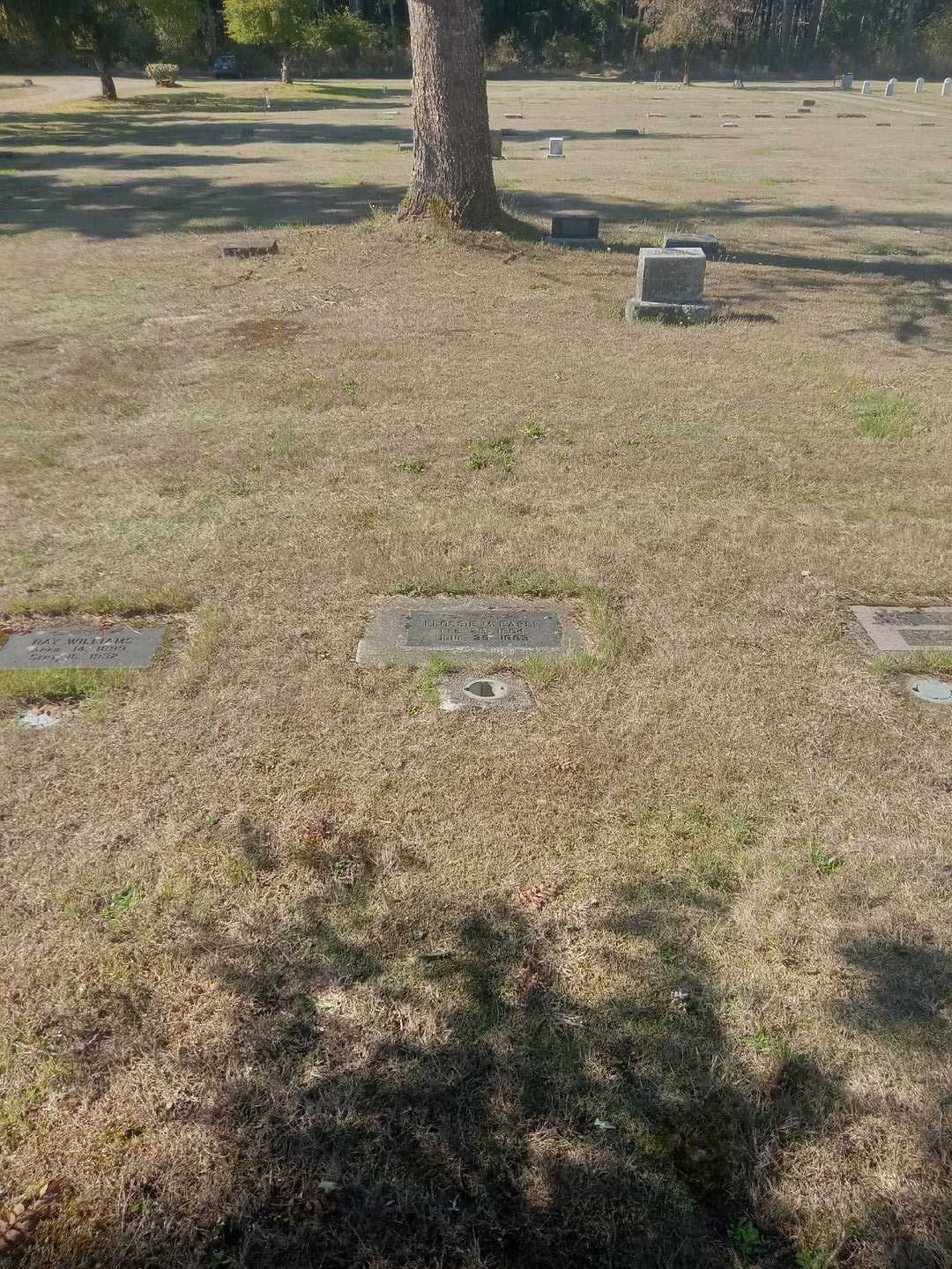 Flossie M. Earle's grave. Photo 2