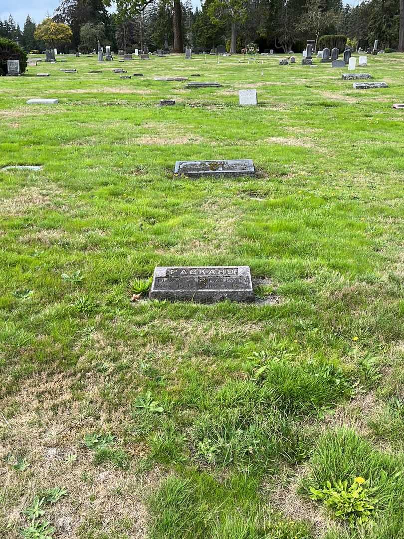 Lewis Wines Packard's grave. Photo 2
