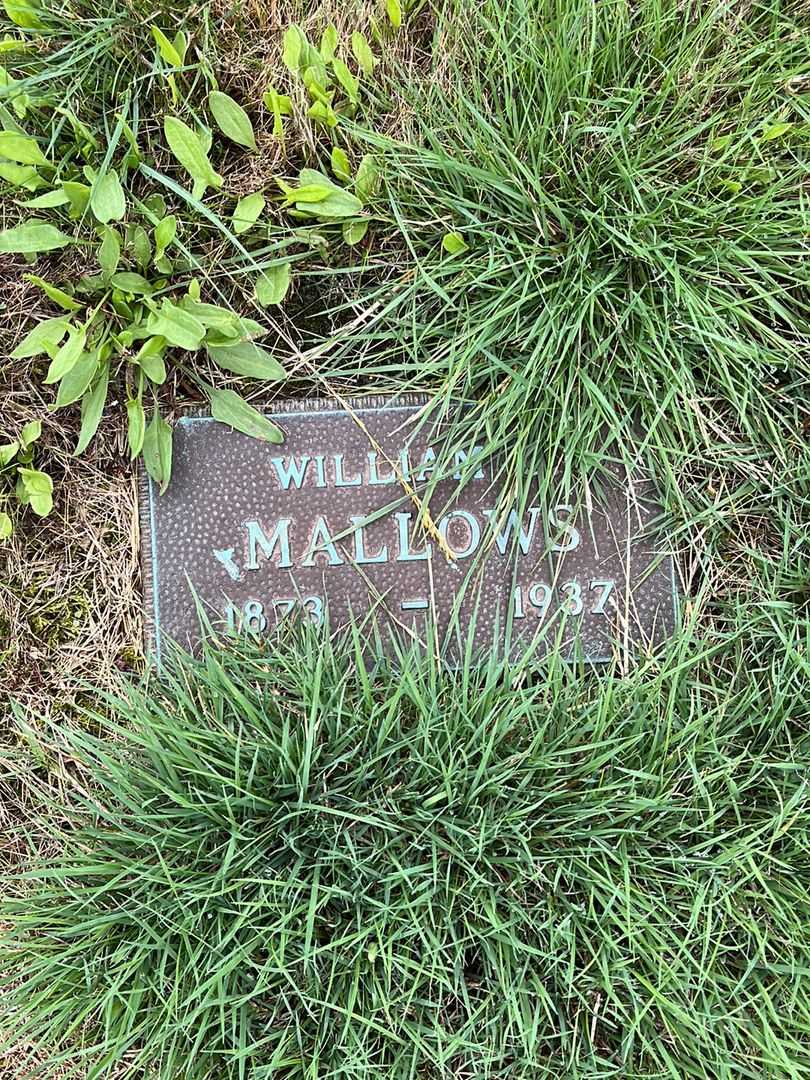 Alvina Mallows Dahlman's grave. Photo 4