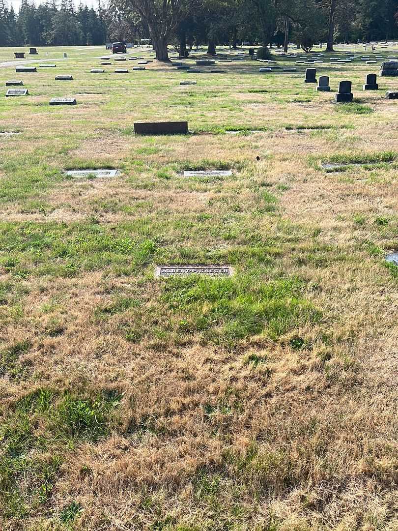 Albert P. Saeger's grave. Photo 2