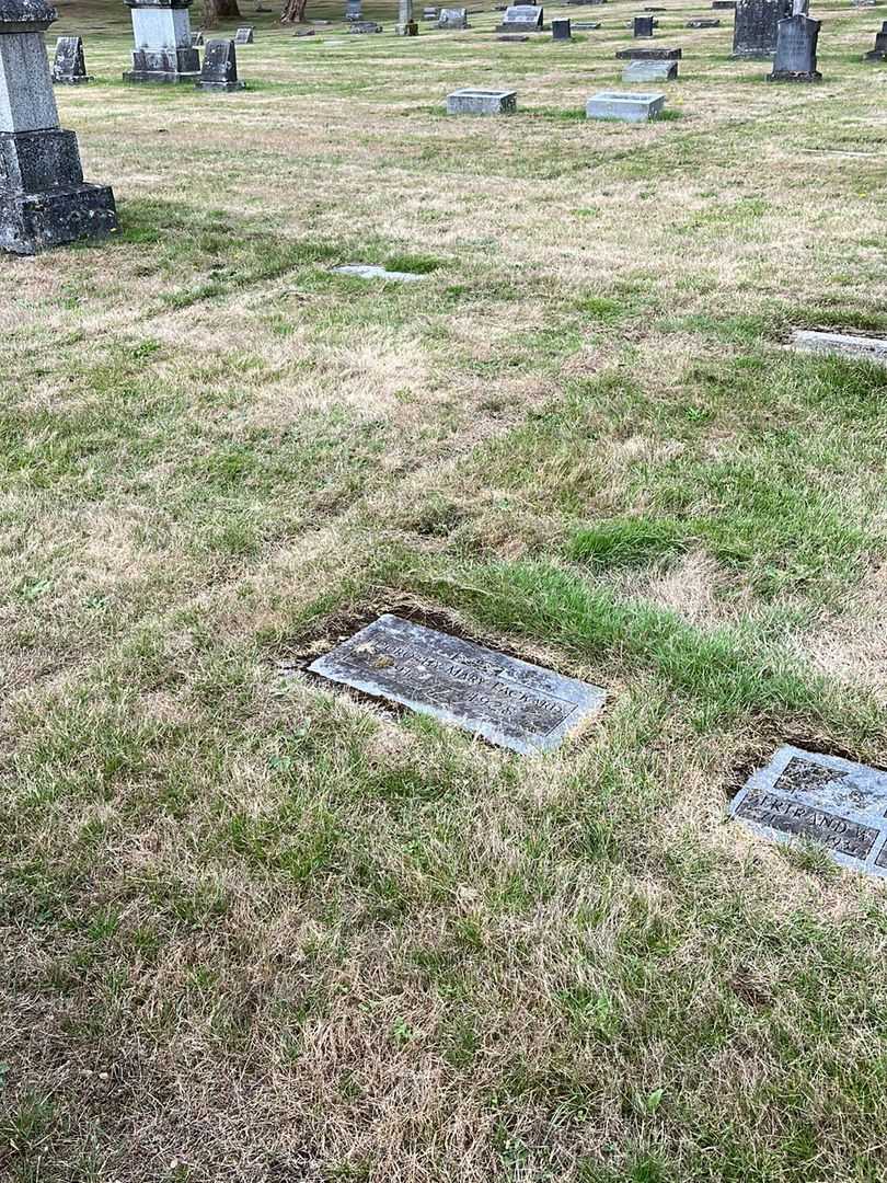 Dorothy Mary Packard's grave. Photo 2