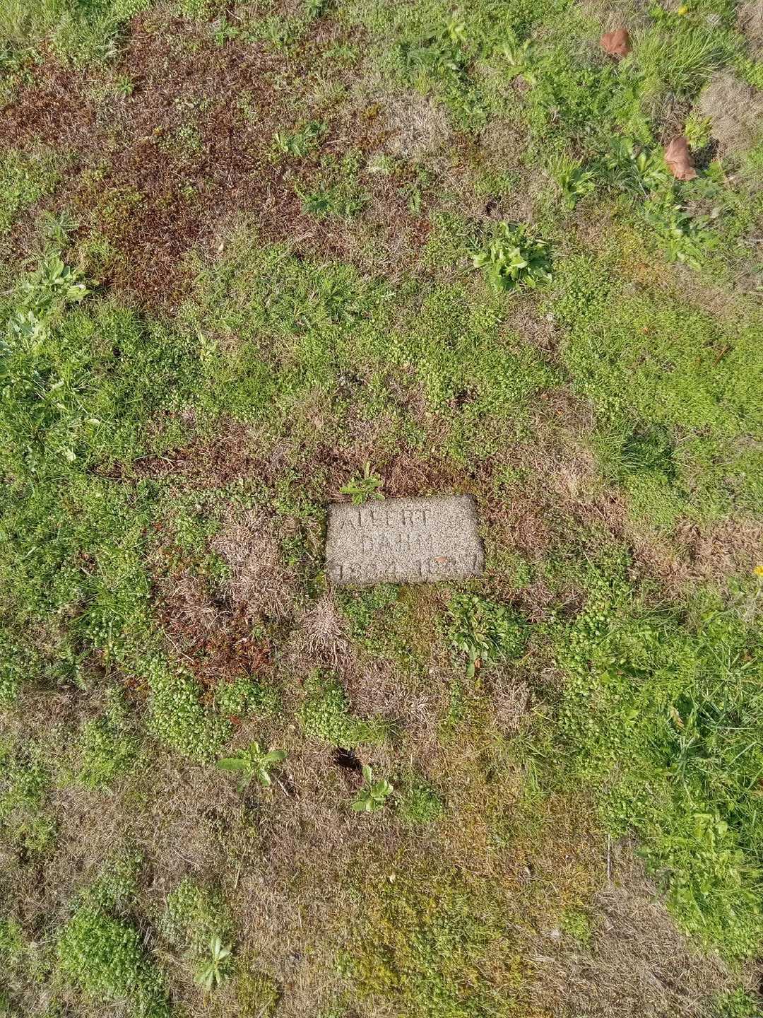 Albert Dahm's grave. Photo 1