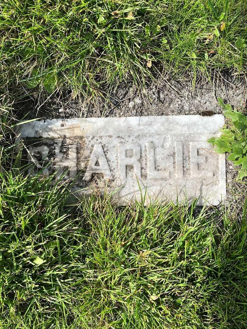Charles W. Saeger's grave. Photo 4