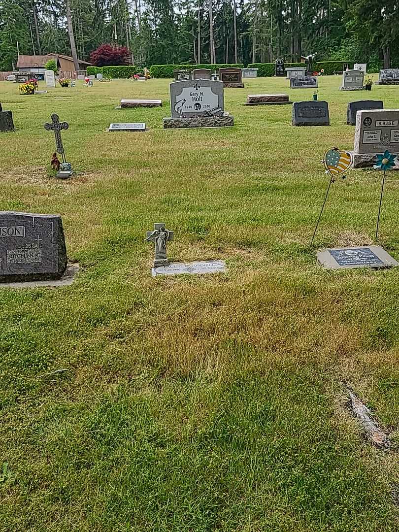 Paul C. O'Donnell's grave. Photo 2