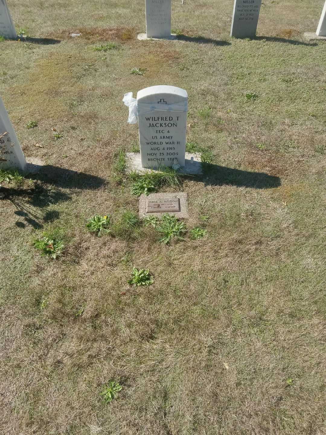 Wilfred Tillman Jackson's grave. Photo 2