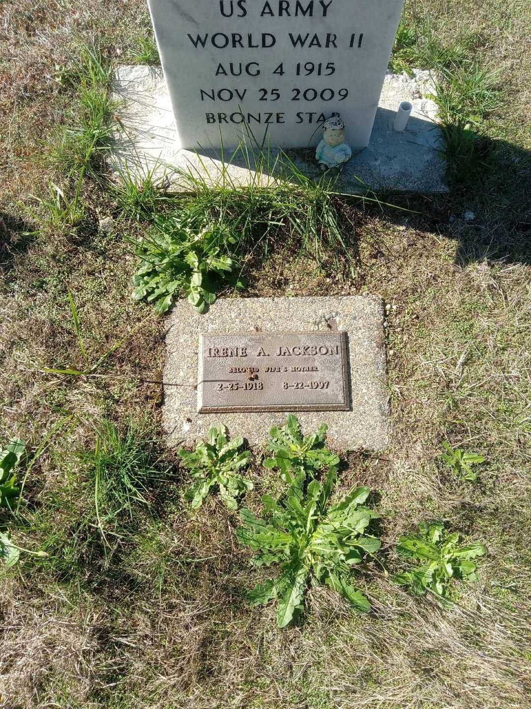 Wilfred Tillman Jackson's grave. Photo 1