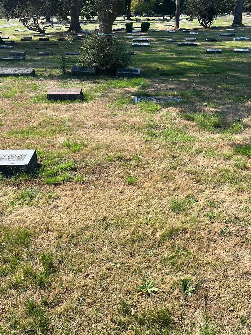 Willis Earl Haddock's grave. Photo 2