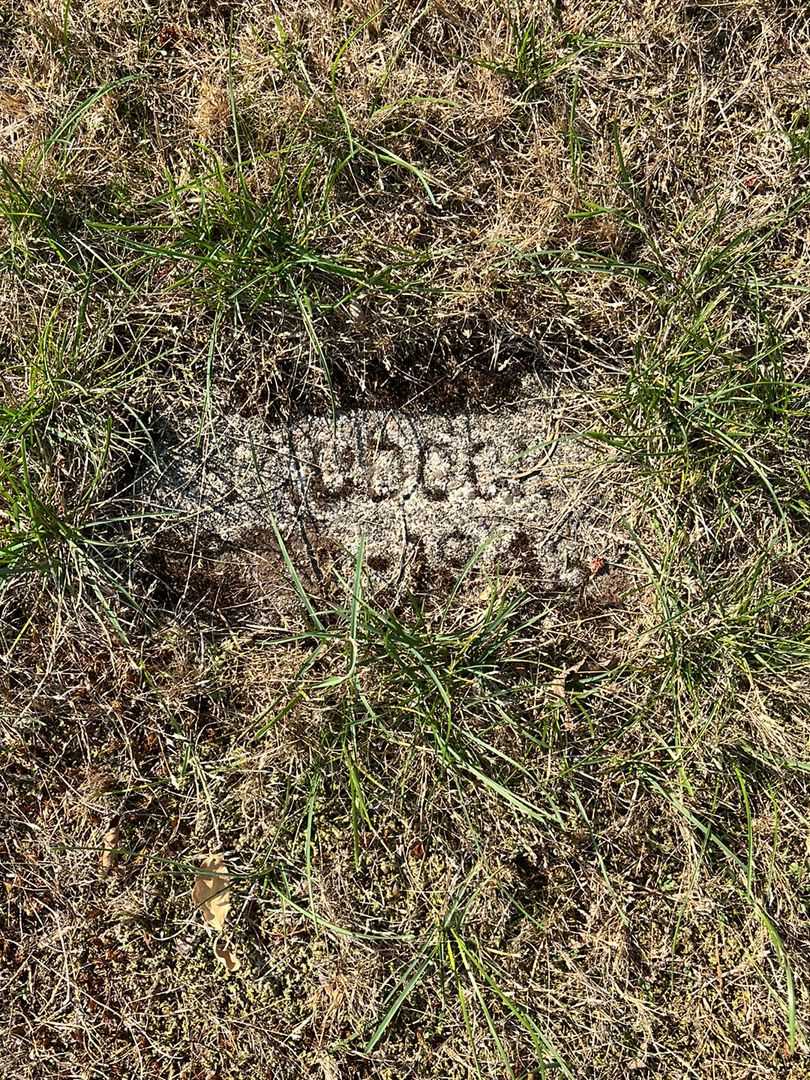 Willis Earl Haddock's grave. Photo 1