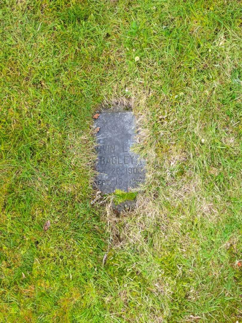 Irvin Lee Bagley's grave. Photo 2