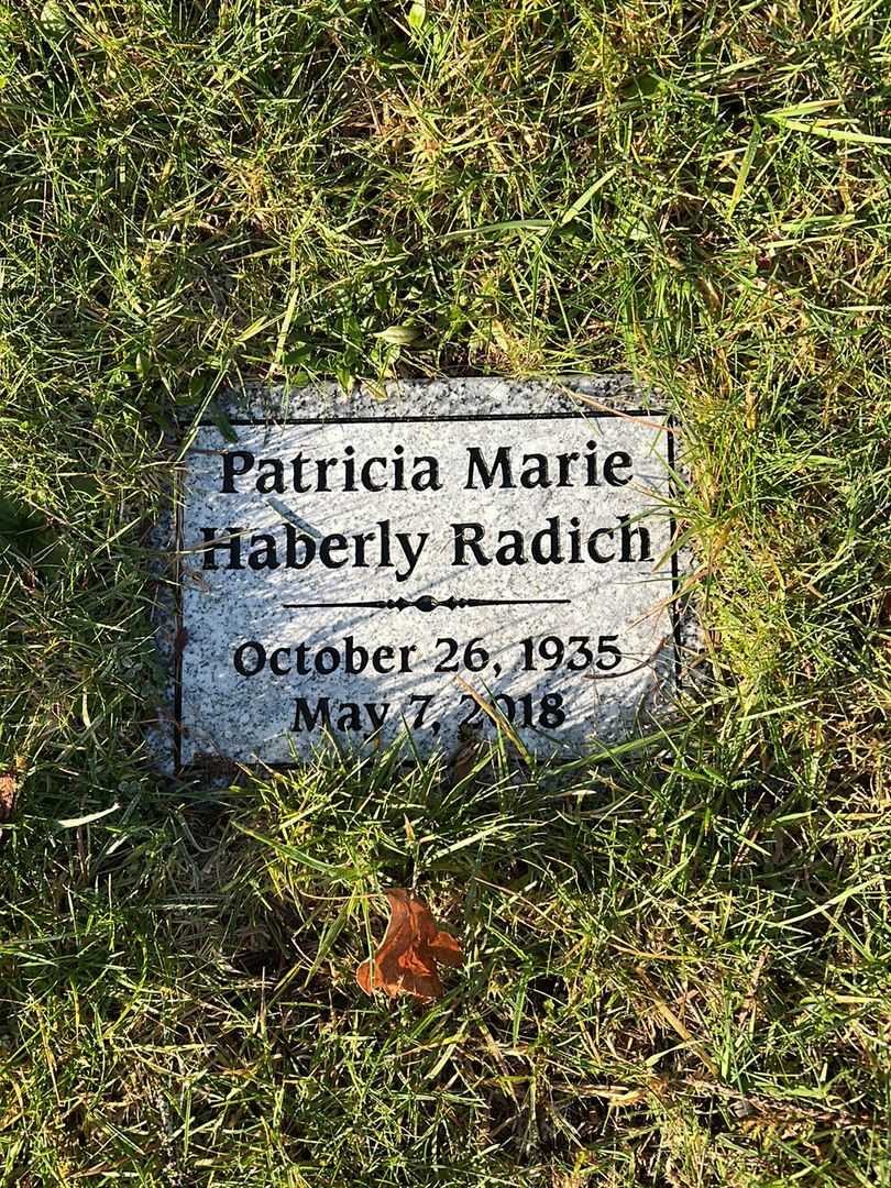 George Marion Radich Junior's grave. Photo 1