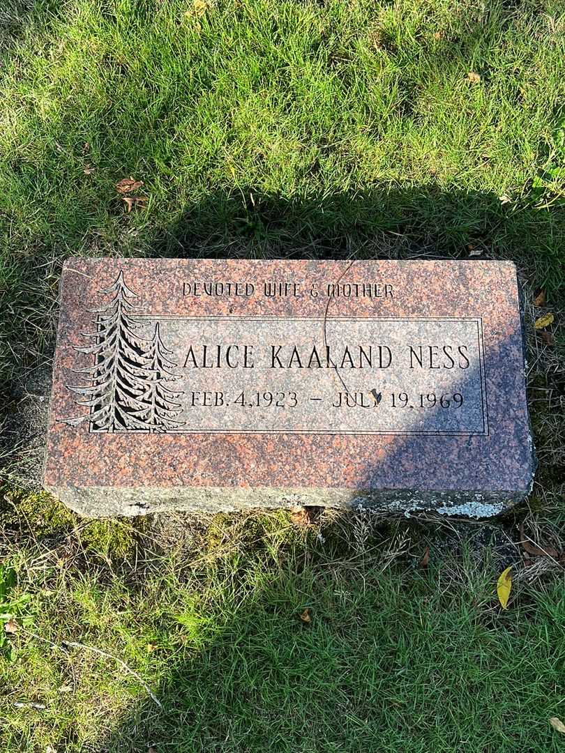 Alice Kaaland Ness's grave. Photo 1