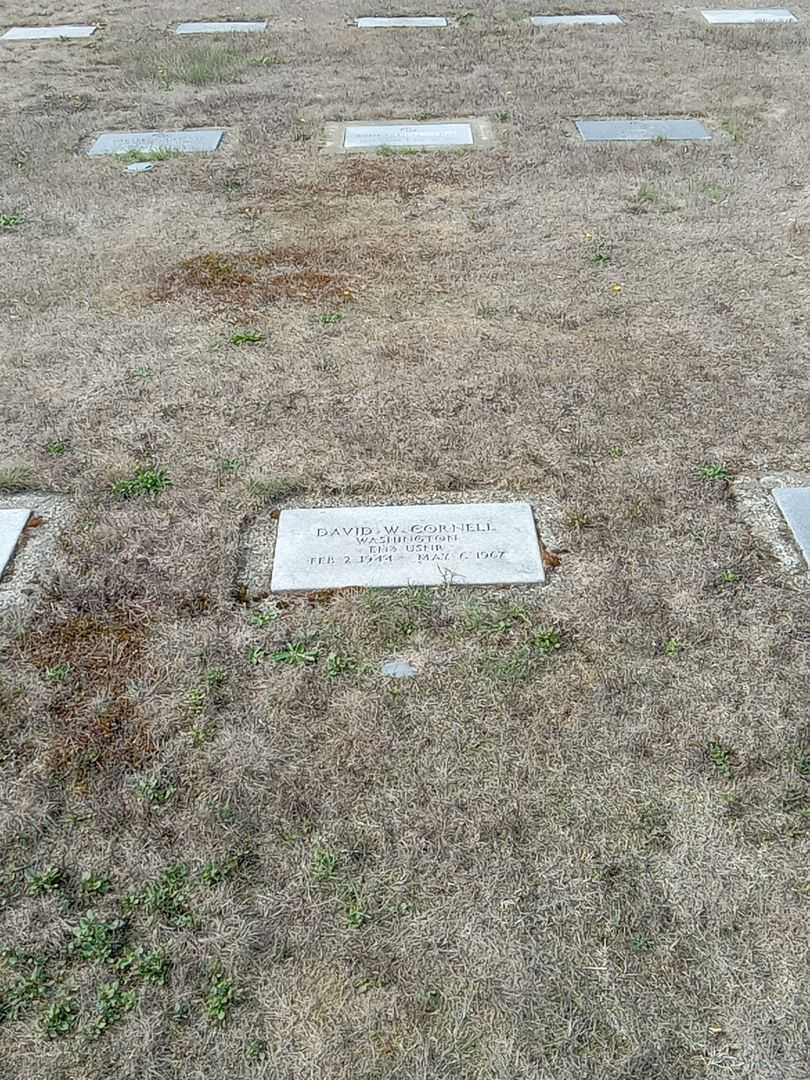 Arthur Nelson Palmer's grave. Photo 2